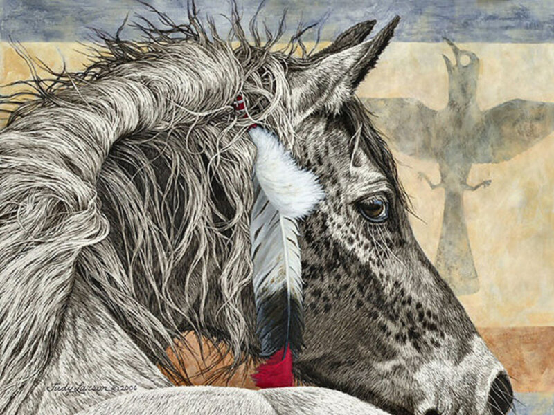 Gray Horse with Feather