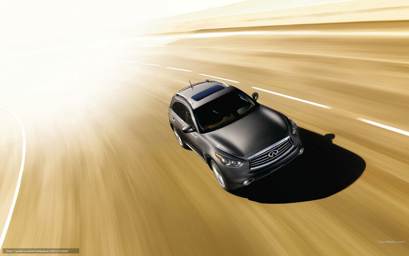 Gray Infiniti Fx Suv