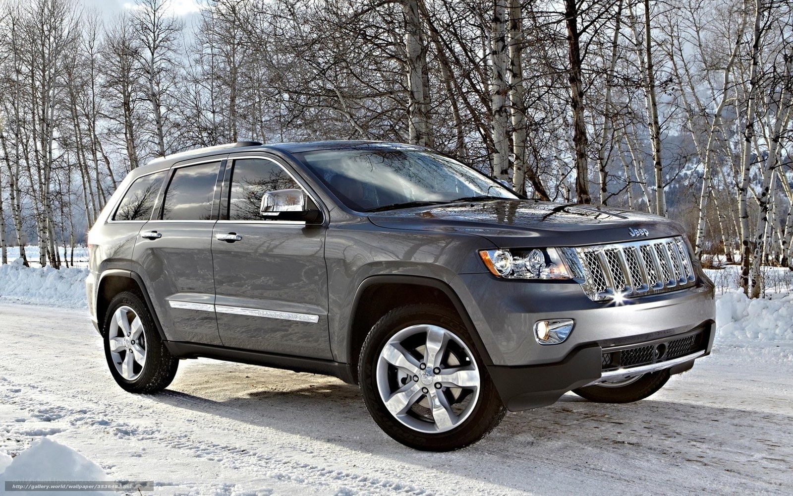 Gray Jeep in snowy forest