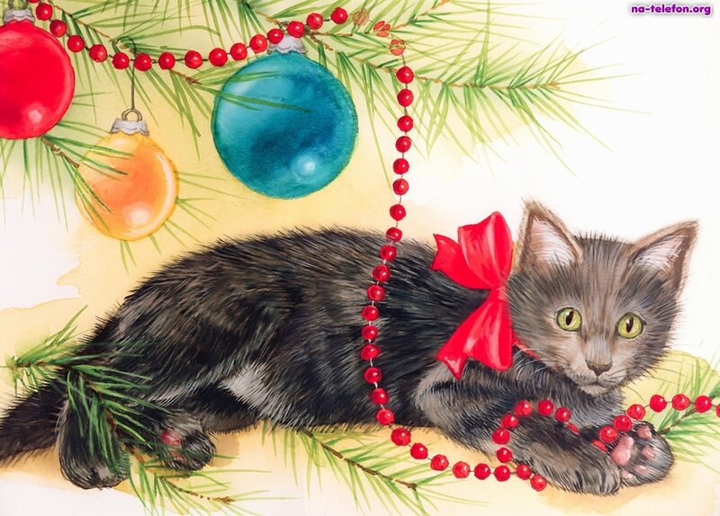 Gray Kitten with Bow — Festive