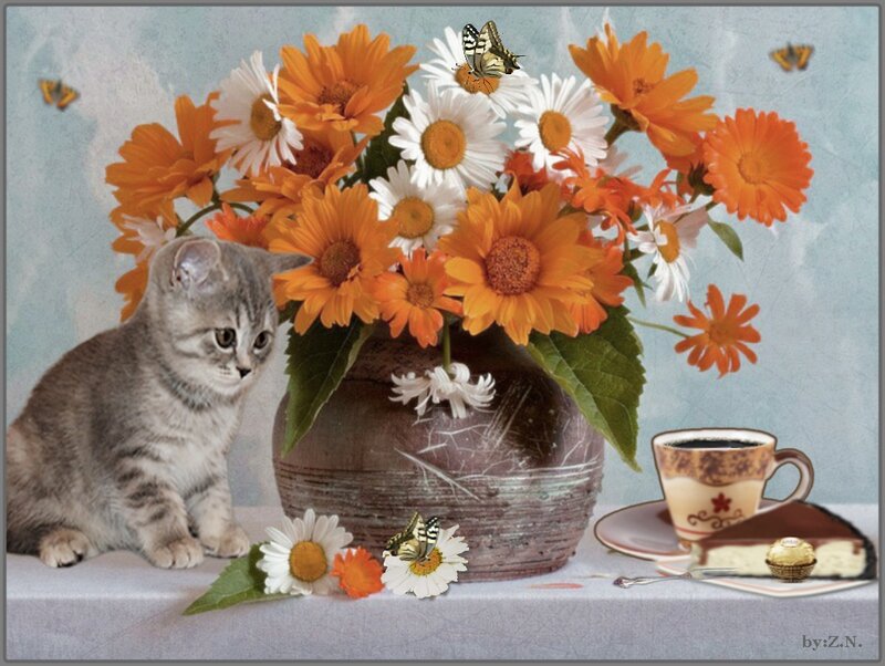 Gray Kitten with Flowers — Orange