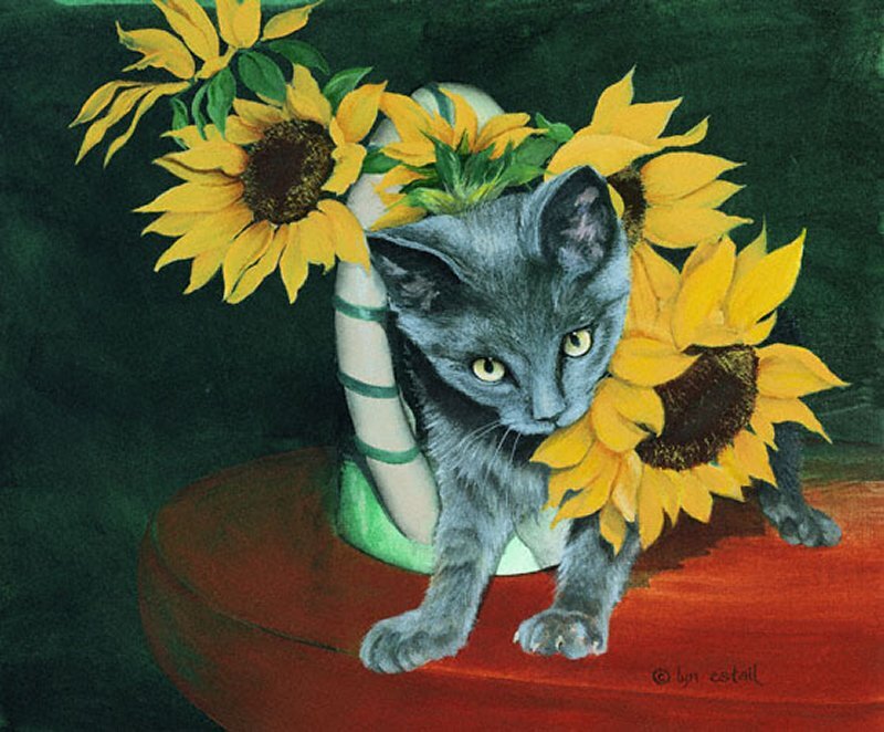 Gray Kitten with Sunflowers