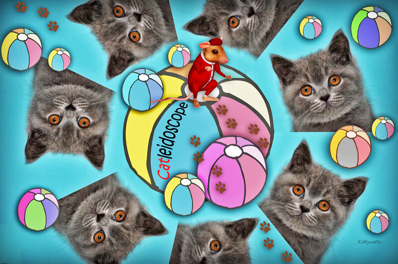 Gray Kittens and Mouse