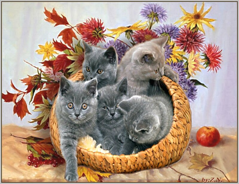 Gray Kittens in Basket — Calm, Autumn