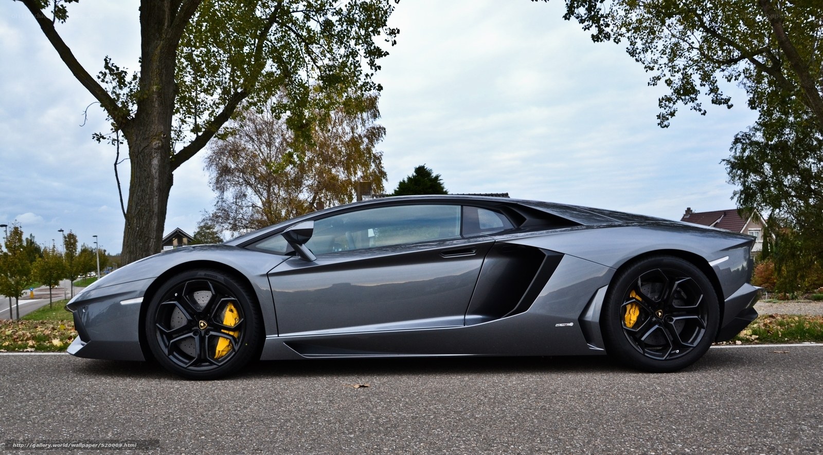Gray Lamborghini Aventador