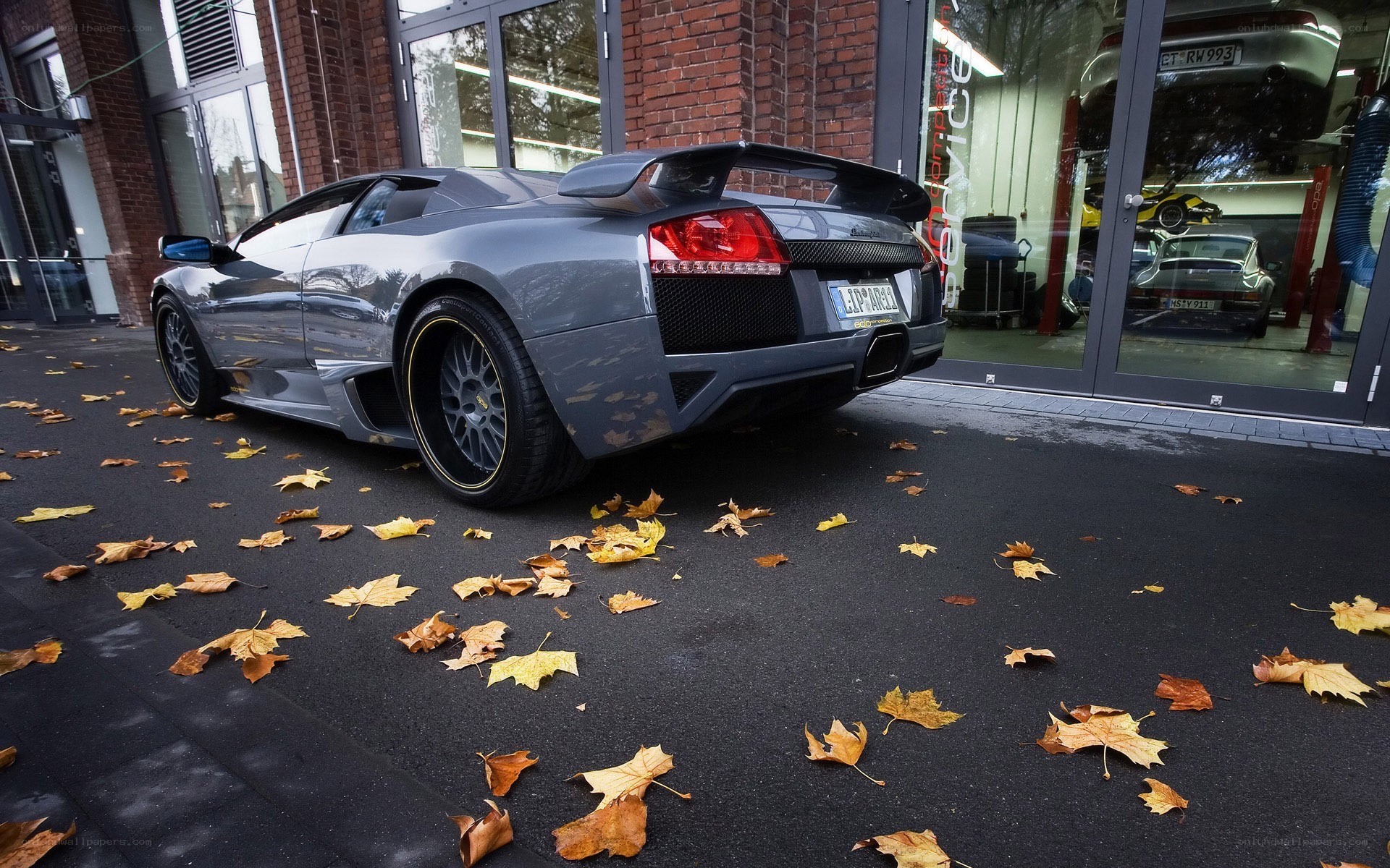 Gray Lamborghini in autumn leaves