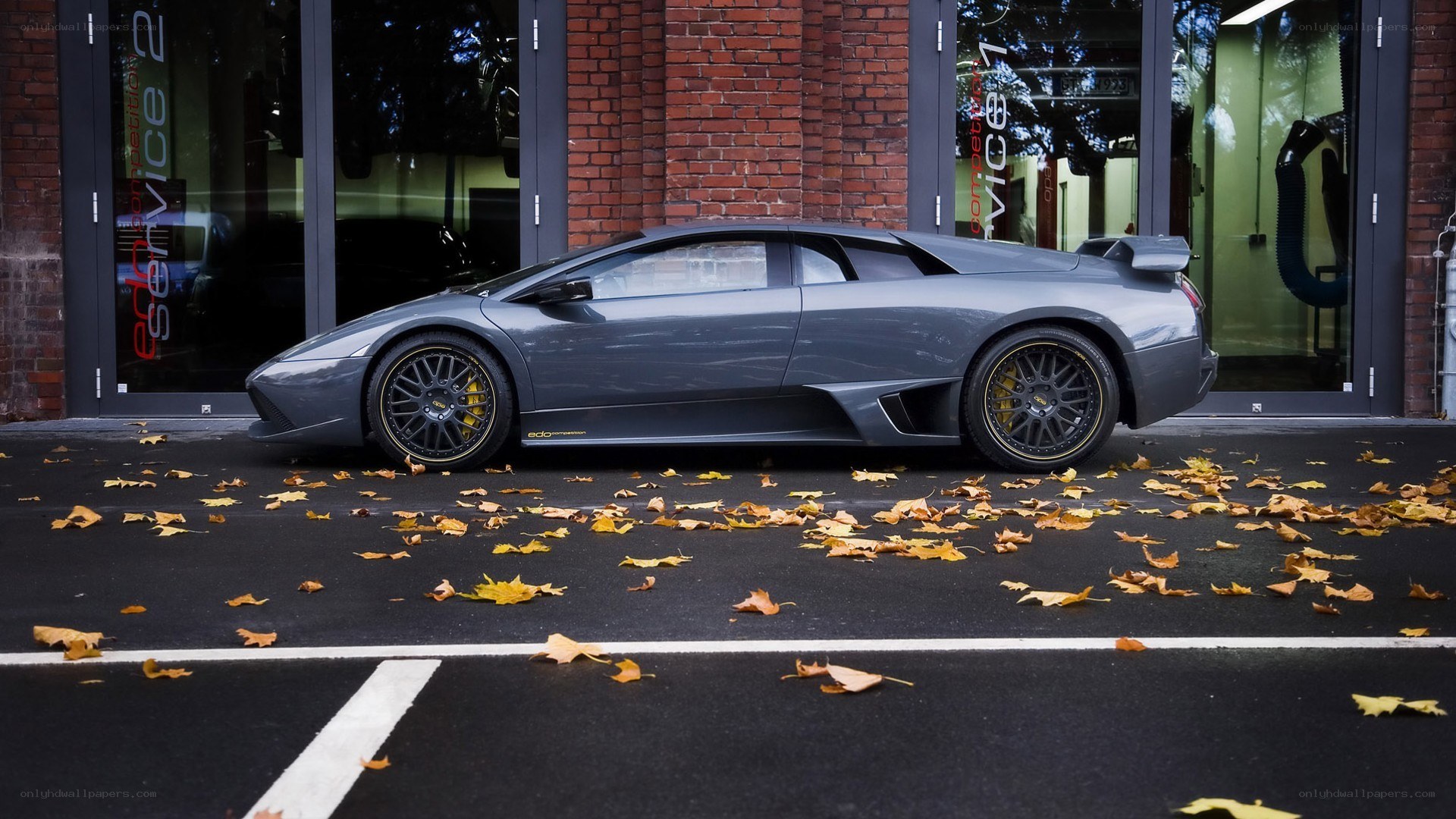 Gray Lamborghini in autumn