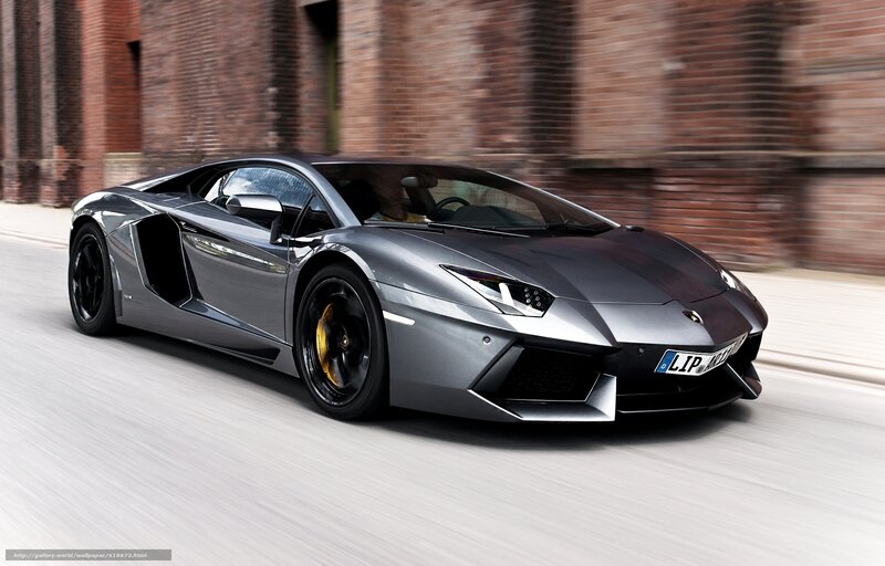 gray lamborghini in motion