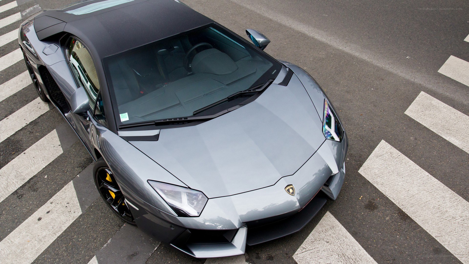 Gray Lamborghini on crosswalk
