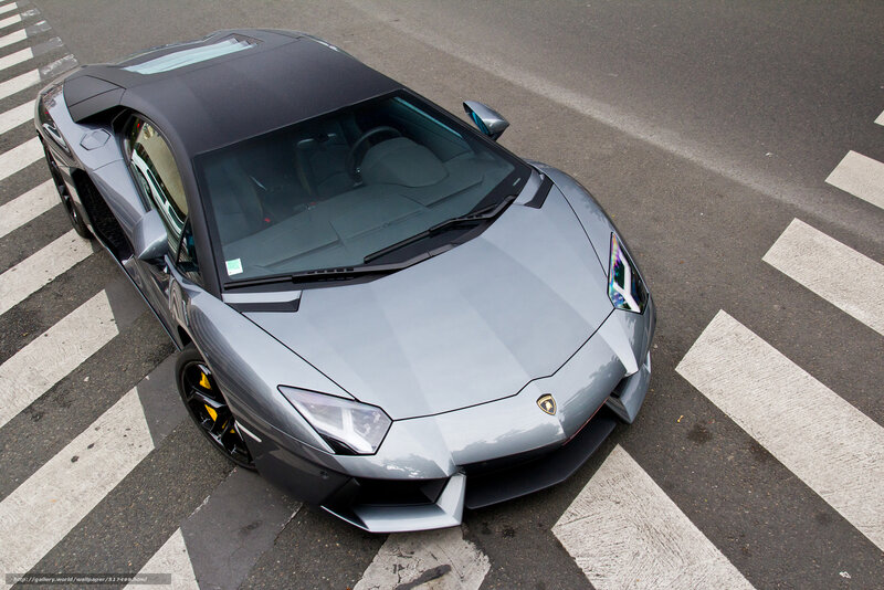 Gray Lamborghini on crosswalk