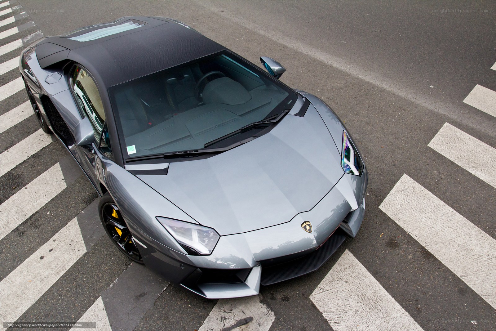 Gray Lamborghini on crosswalk