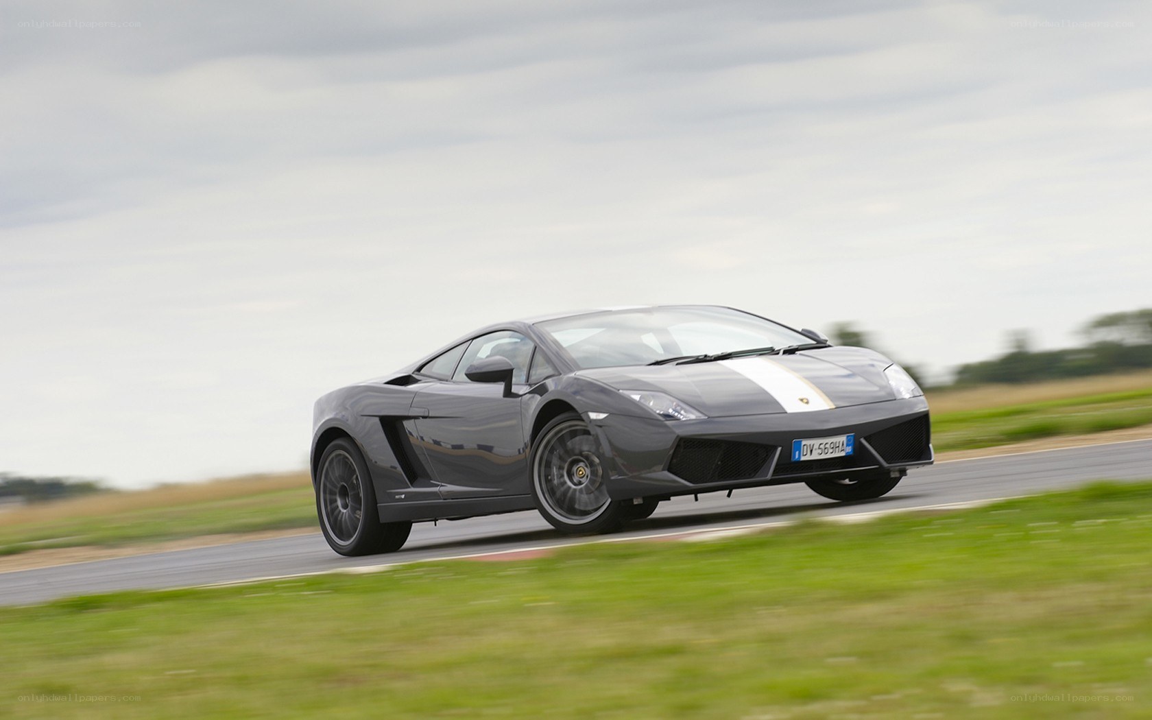 gray lamborghini on racetrack
