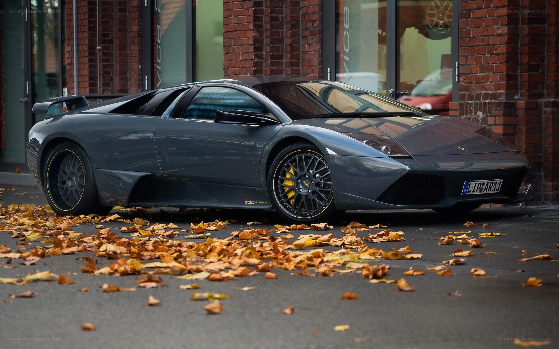 Gray Lamborghini parked on autumn leaves