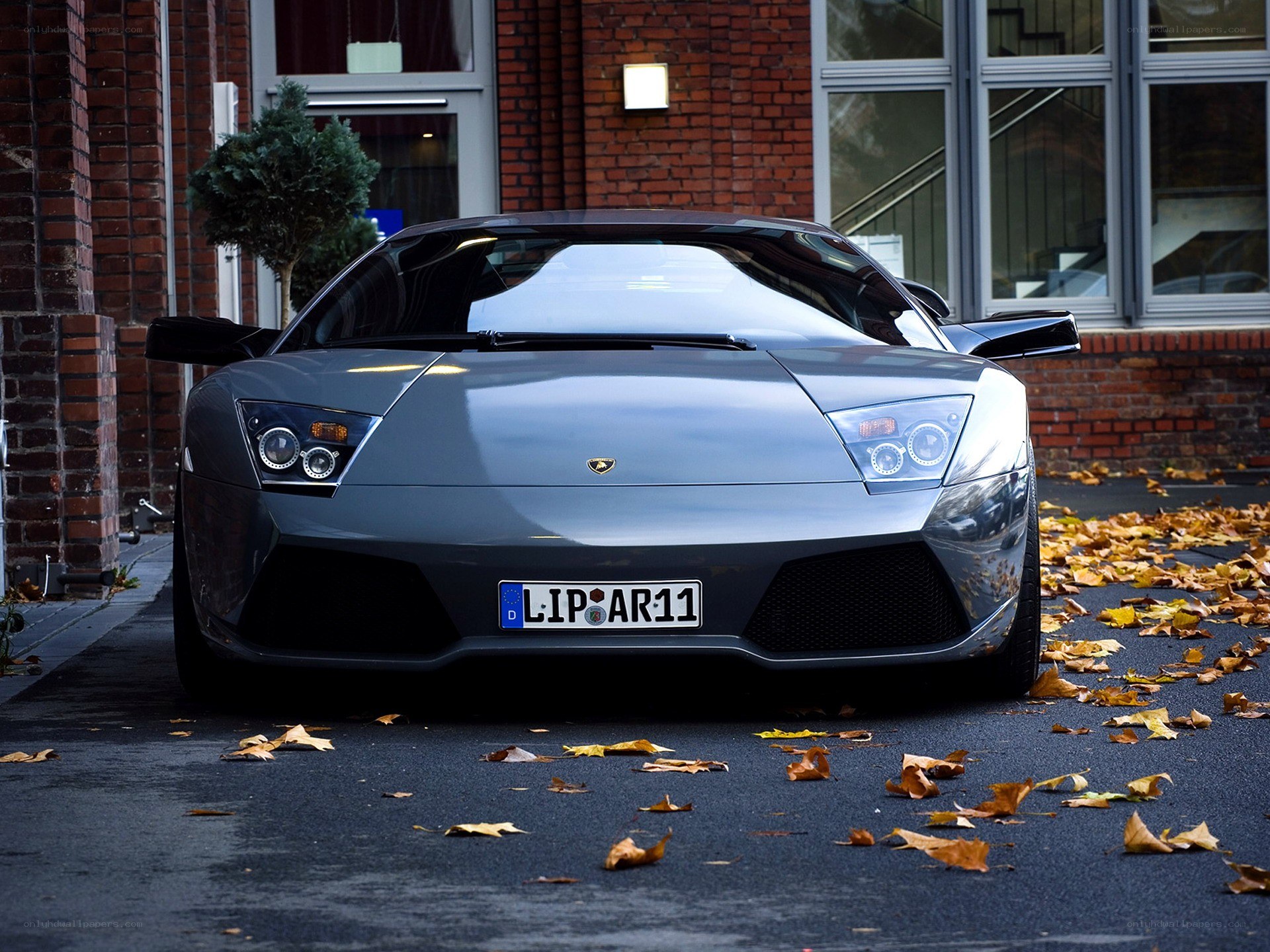 Gray Lamborghini sports car