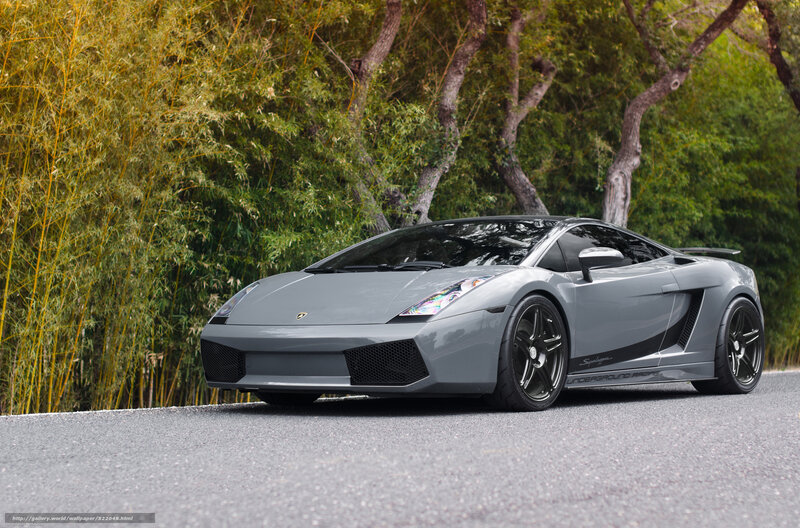 Gray Lamborghini sports car