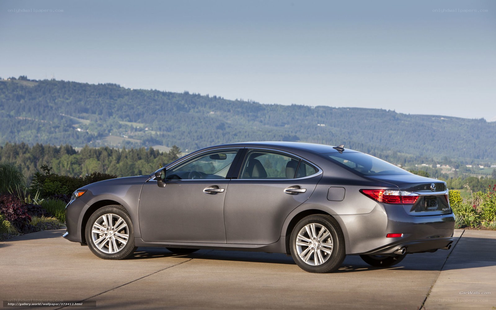 Gray Lexus sedan on a scenic road