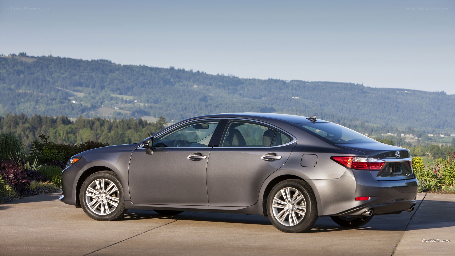 gray lexus sedan on hillside