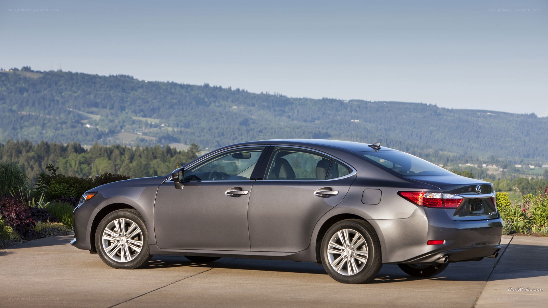 gray lexus sedan on hillside