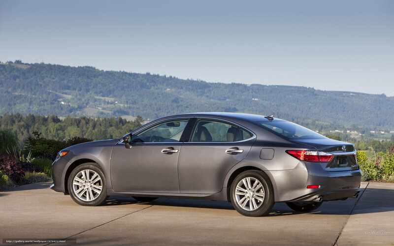 Gray Lexus Sedan — Serene