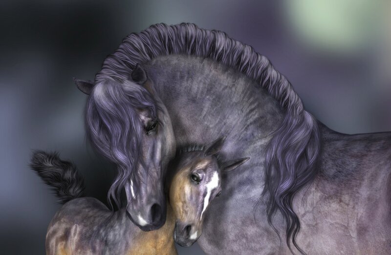 Gray Mare and Foal — Serene