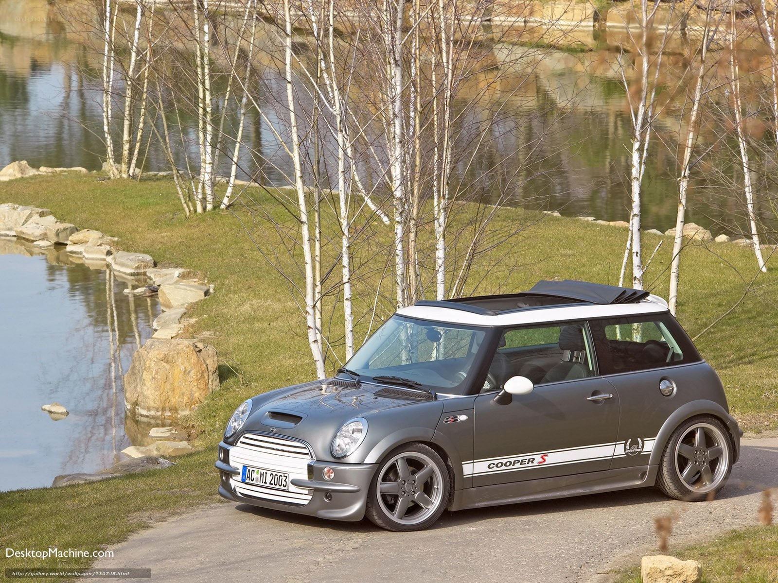 Gray Mini Cooper S by a lake