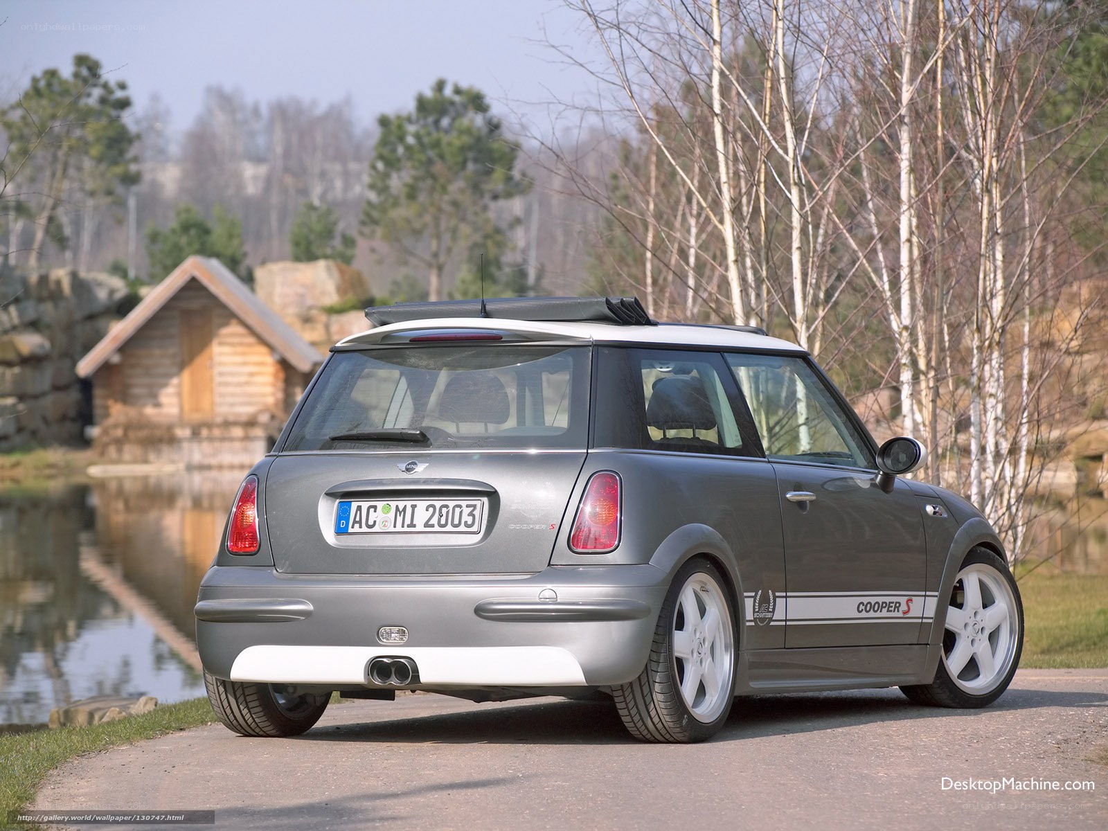 Gray Mini Cooper S parked by lake