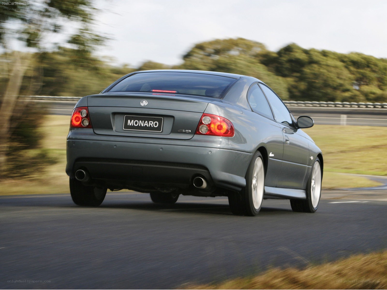 gray monaro coupe in motion