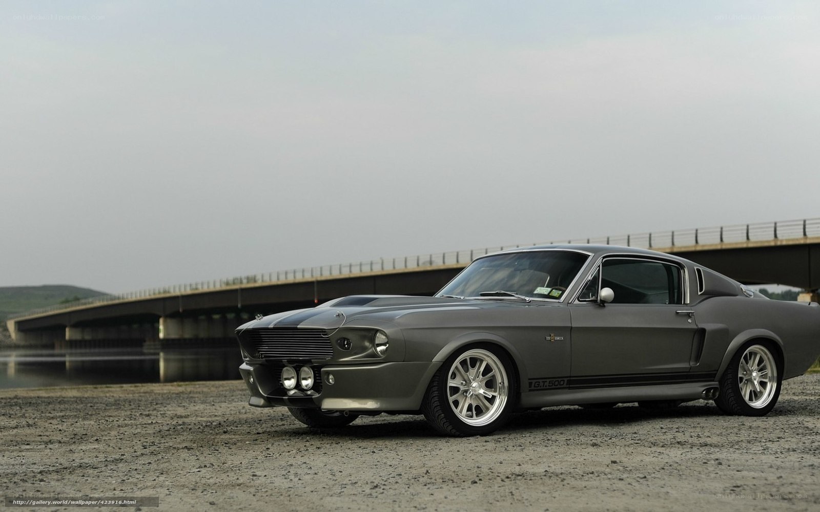gray muscle car by a bridge