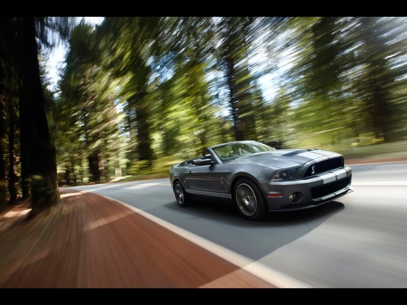 Gray Mustang convertible on forest road