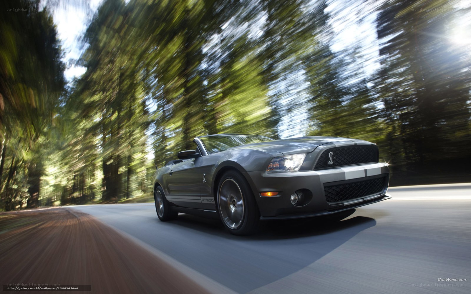 gray mustang convertible on forest road