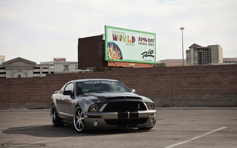 Gray Mustang in Parking Lot