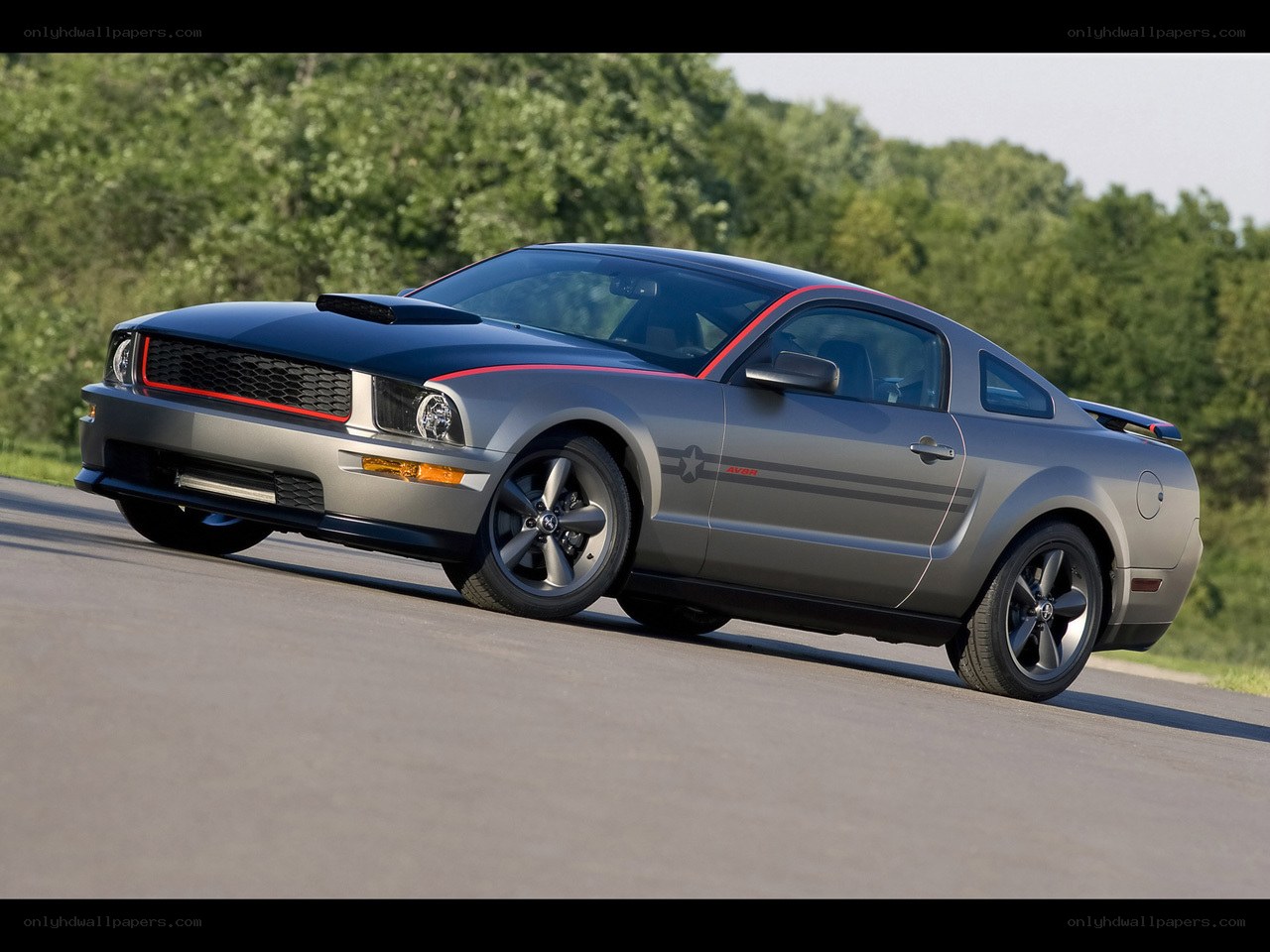 gray mustang on a road