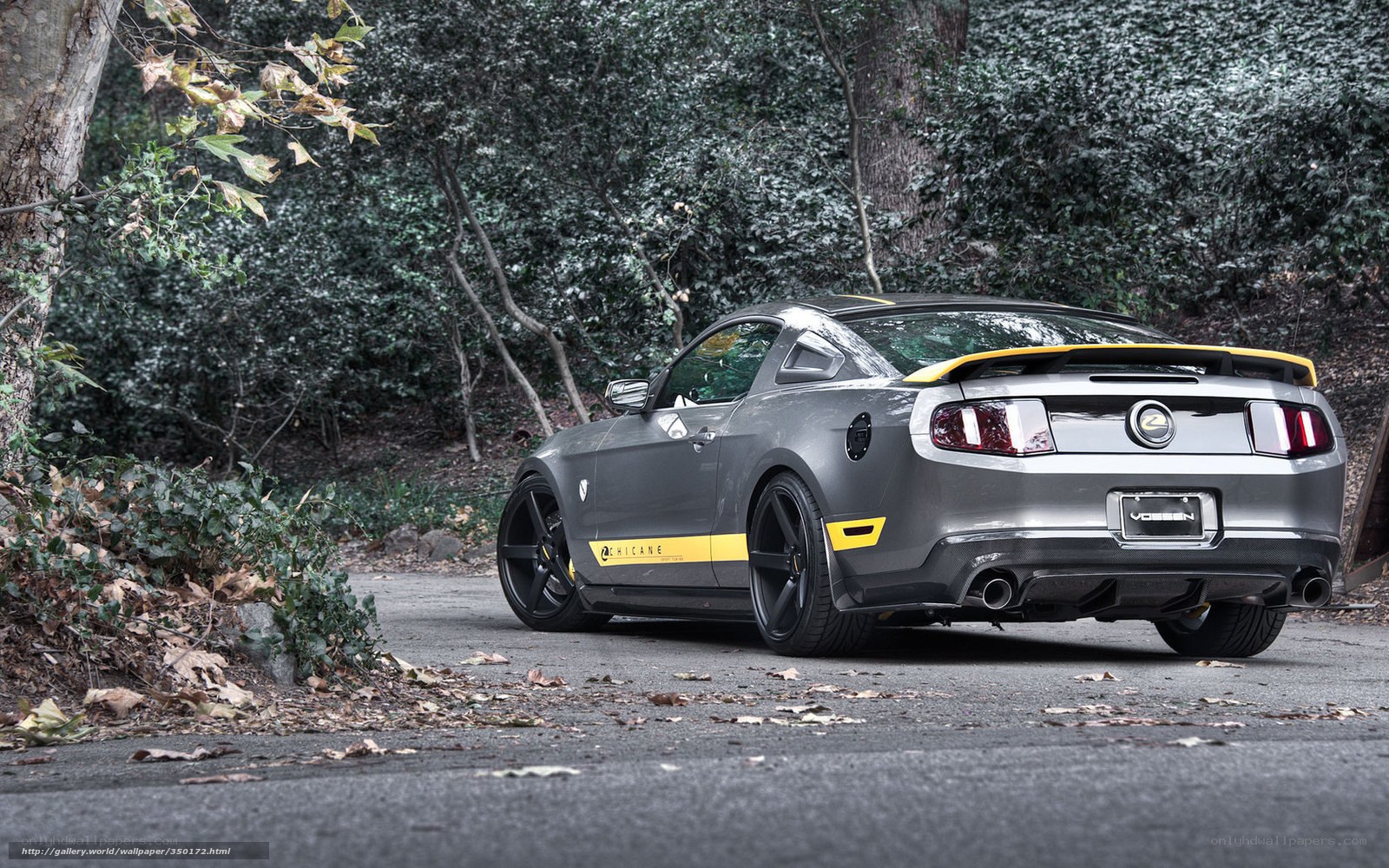gray mustang with yellow accents
