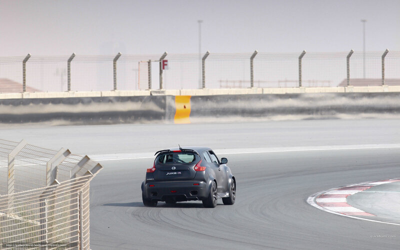 Gray Nissan Juke Car