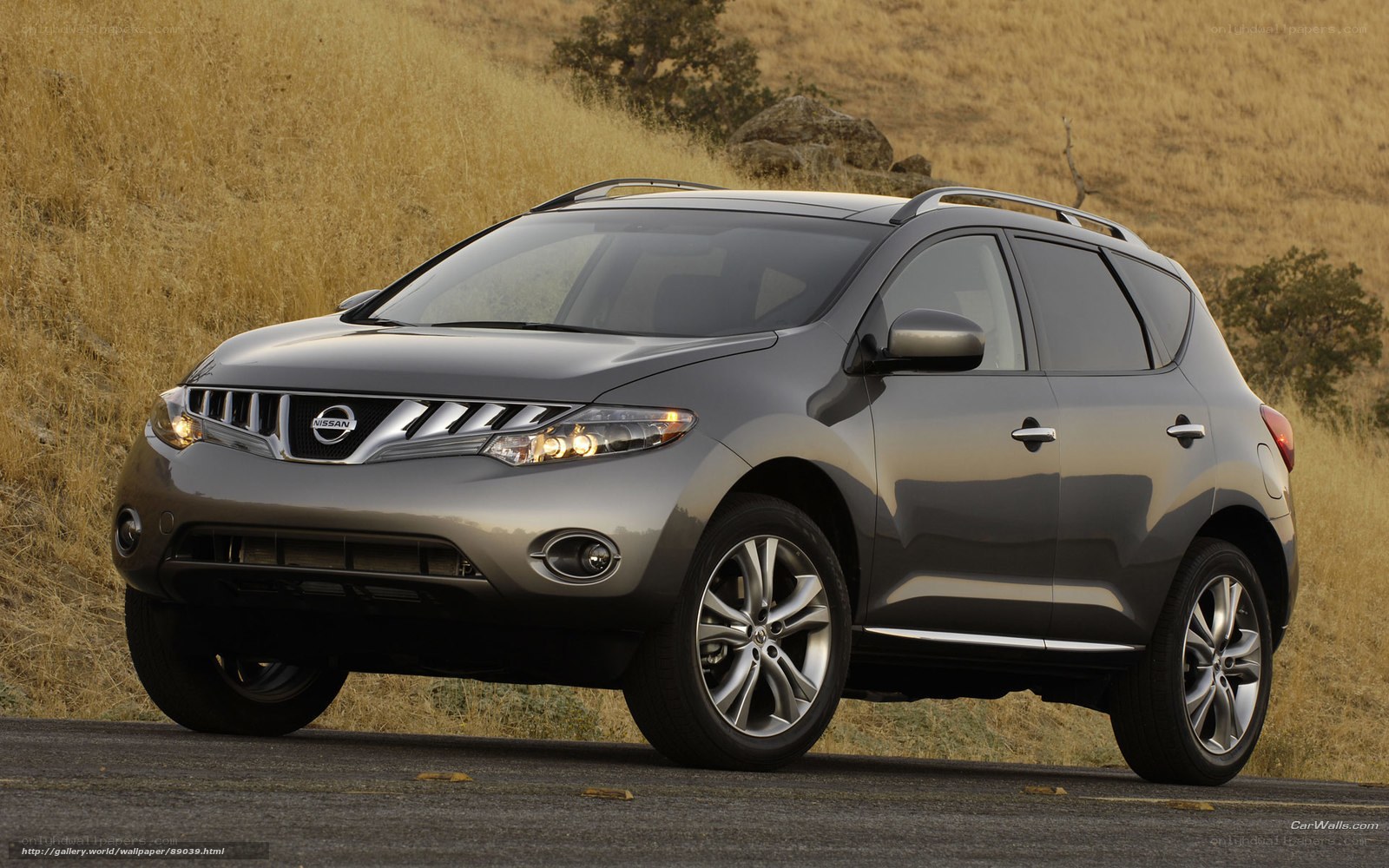 Gray Nissan Murano on a road