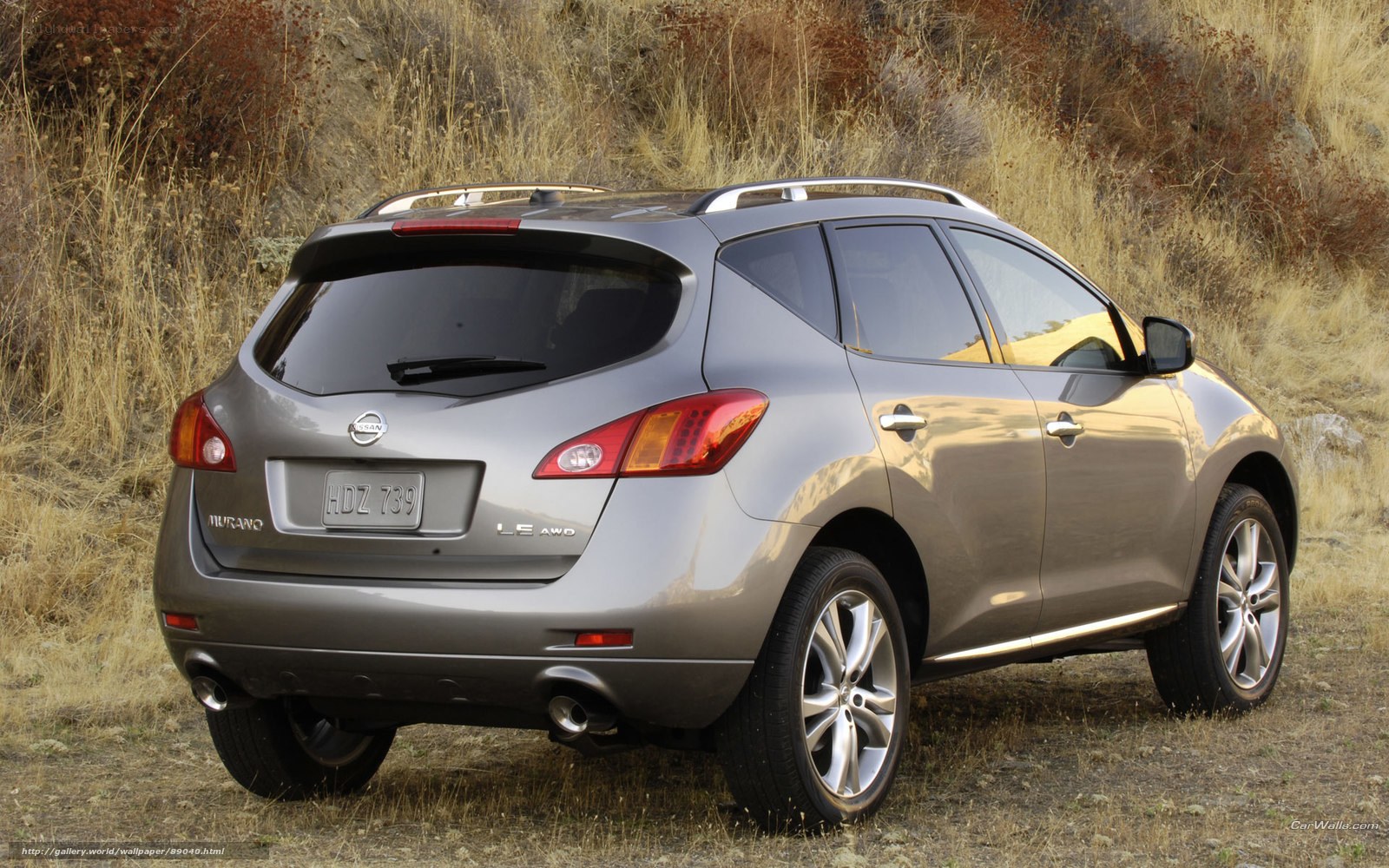 Gray Nissan Murano SUV