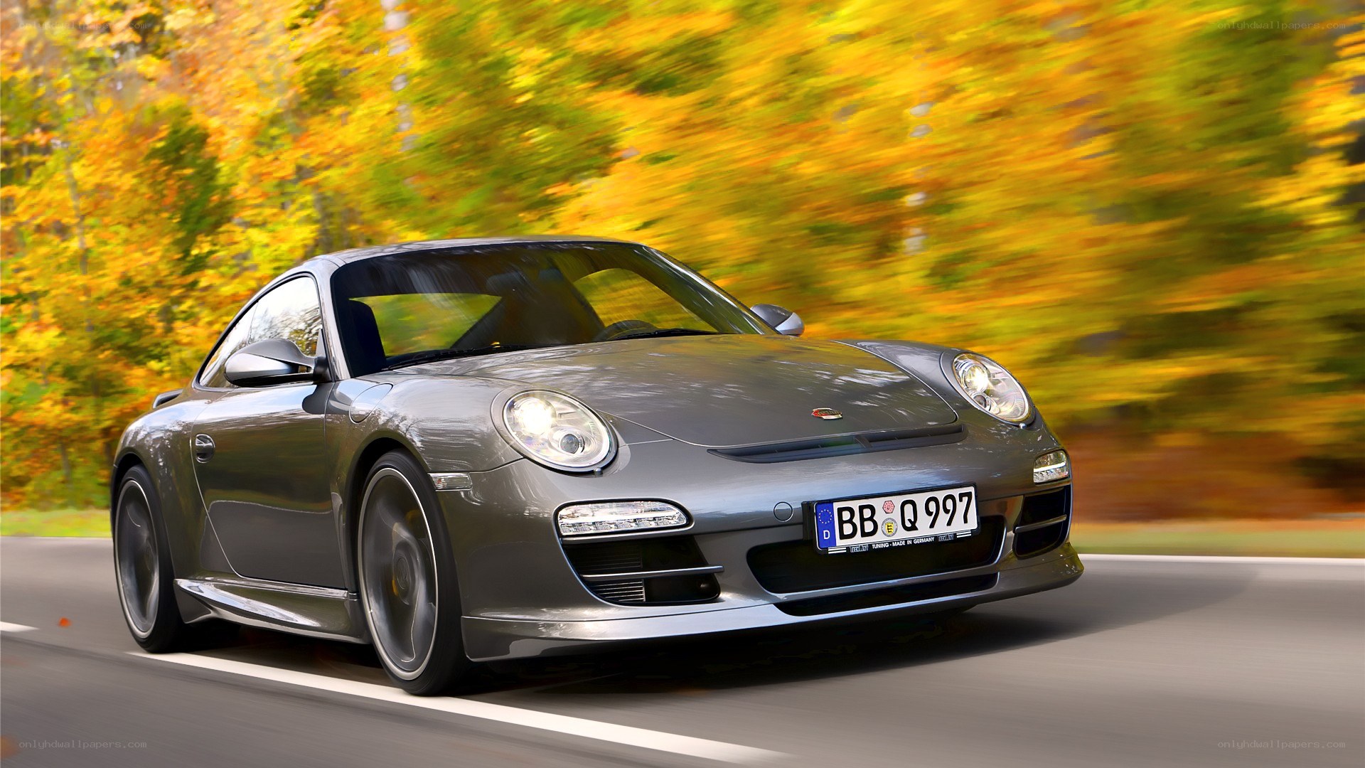 gray porsche in autumn