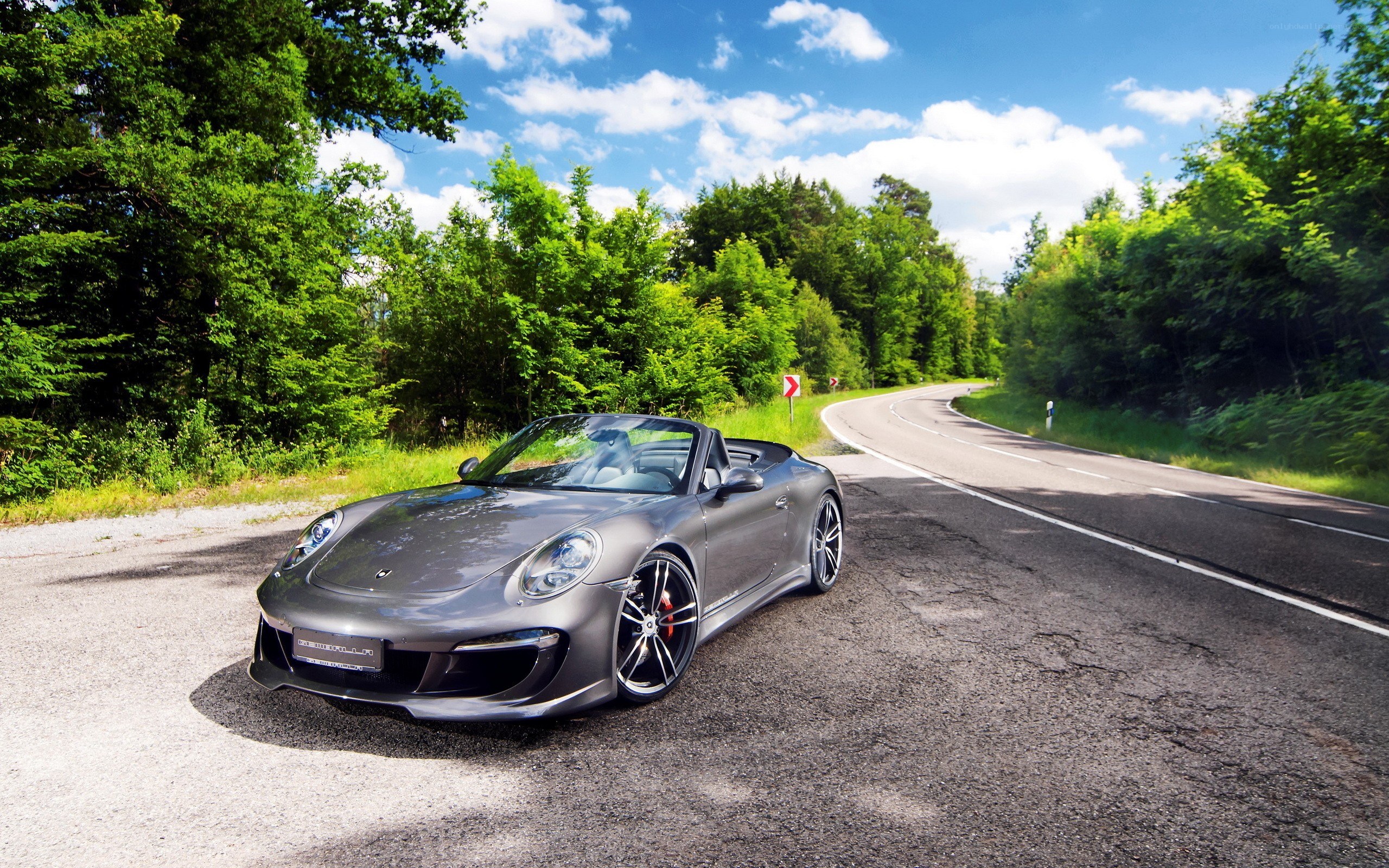 Gray Porsche on a forest road
