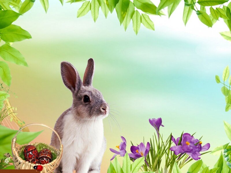 Gray Rabbit with Basket