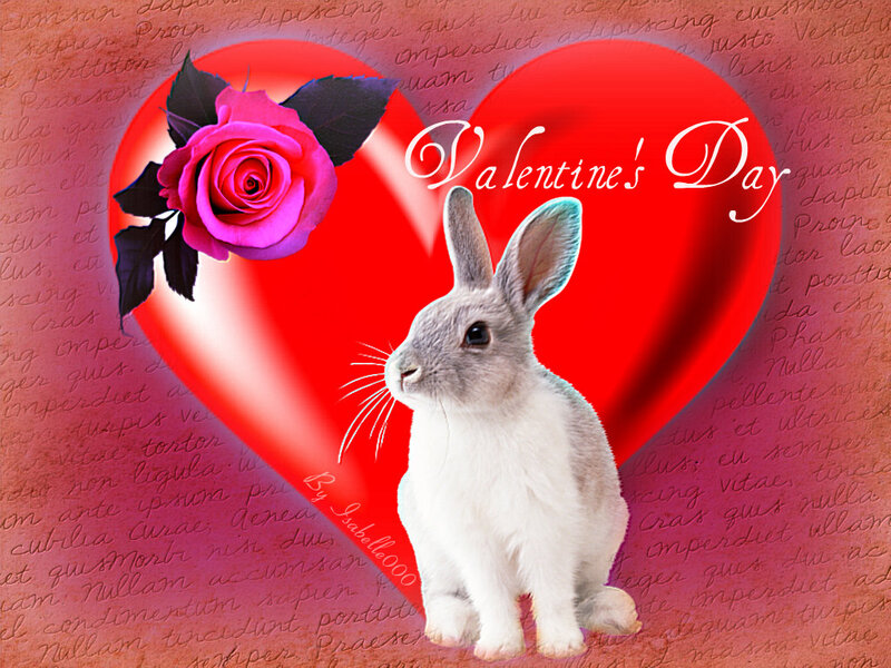 Gray Rabbit with Rose