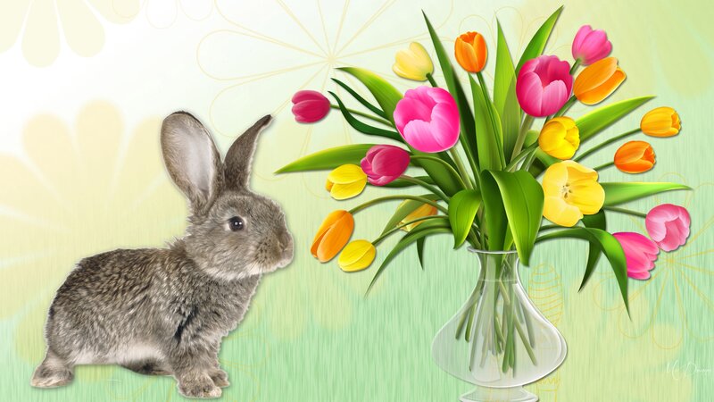 Gray Rabbit with Tulips