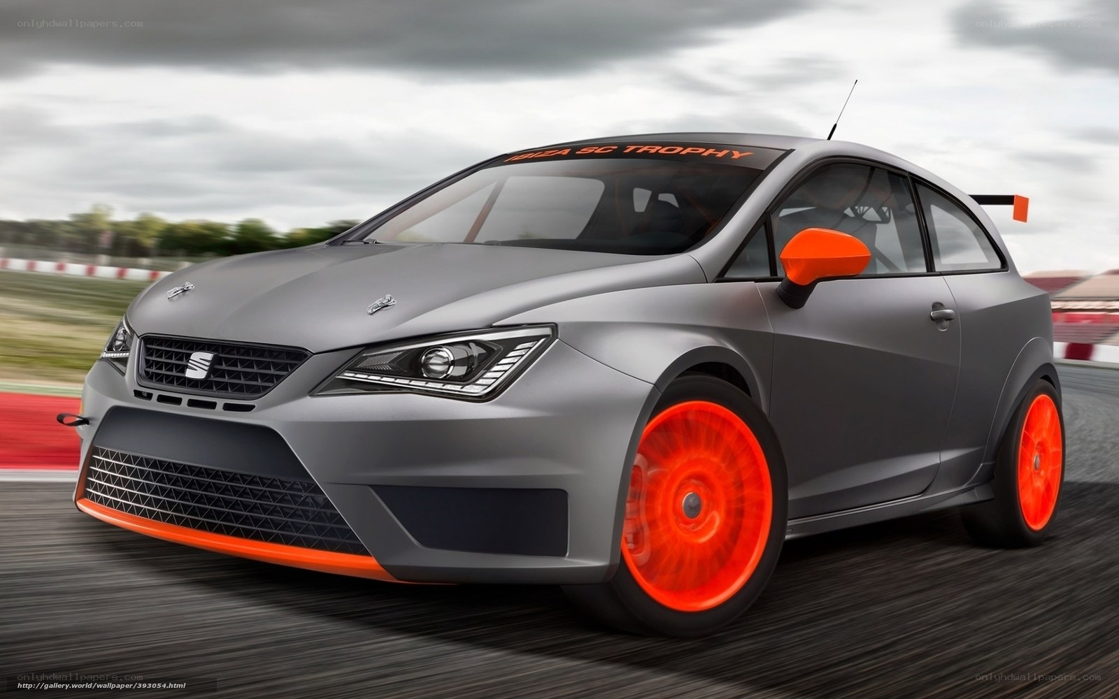 gray race car on track