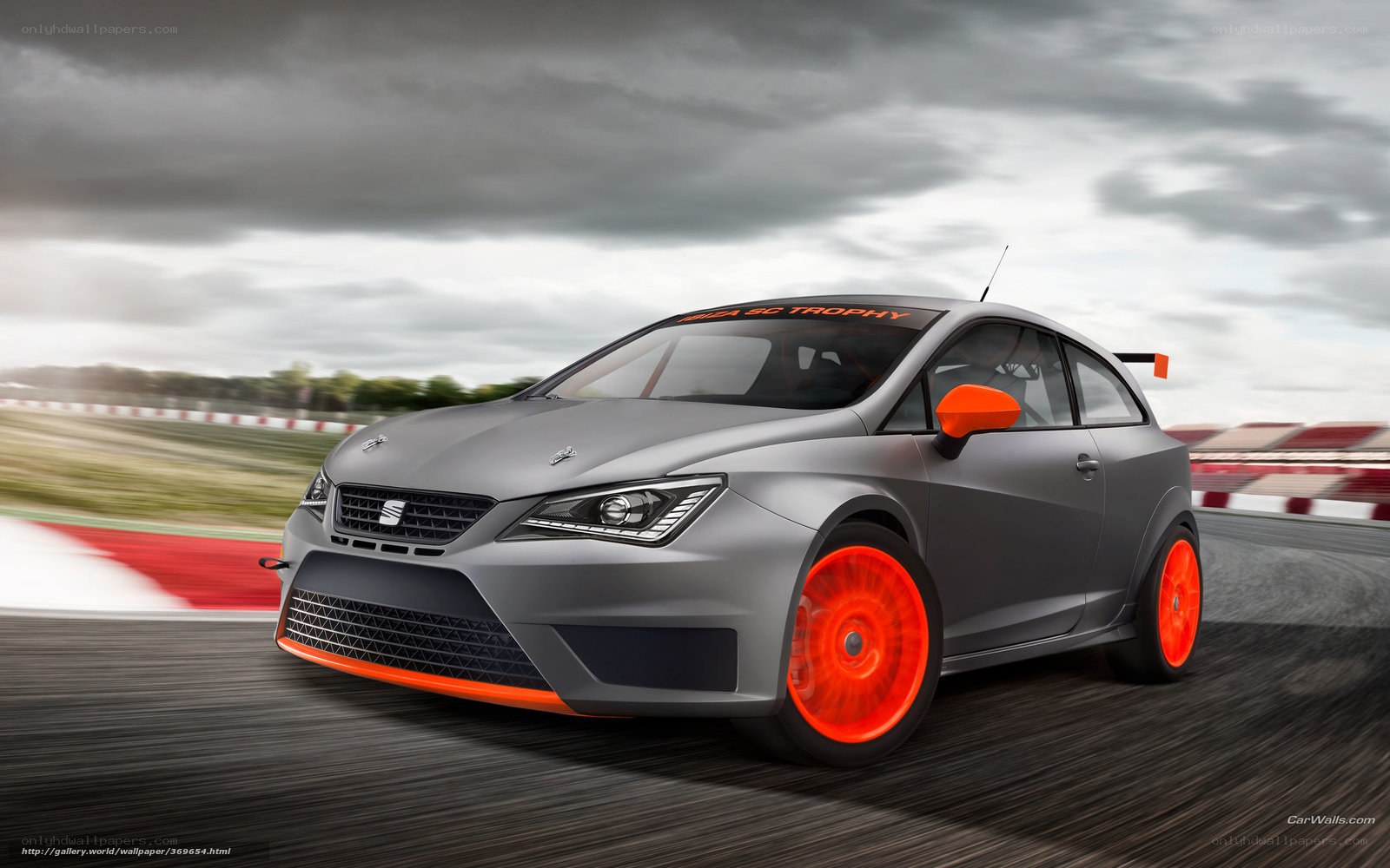 gray race car on track