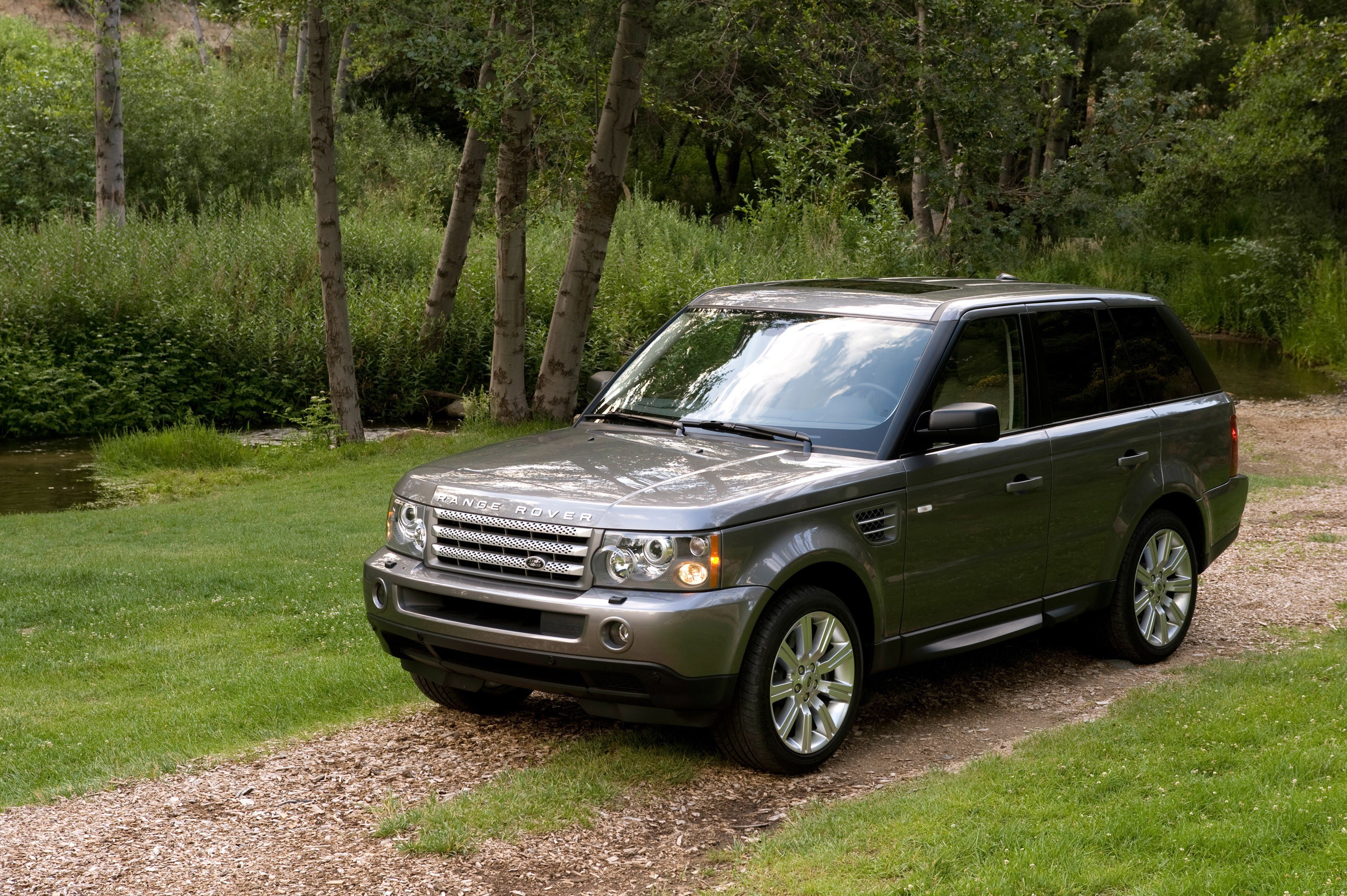 Gray Range Rover in a forest