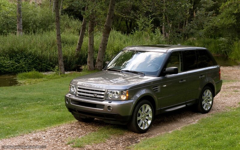 Gray Range Rover in forest