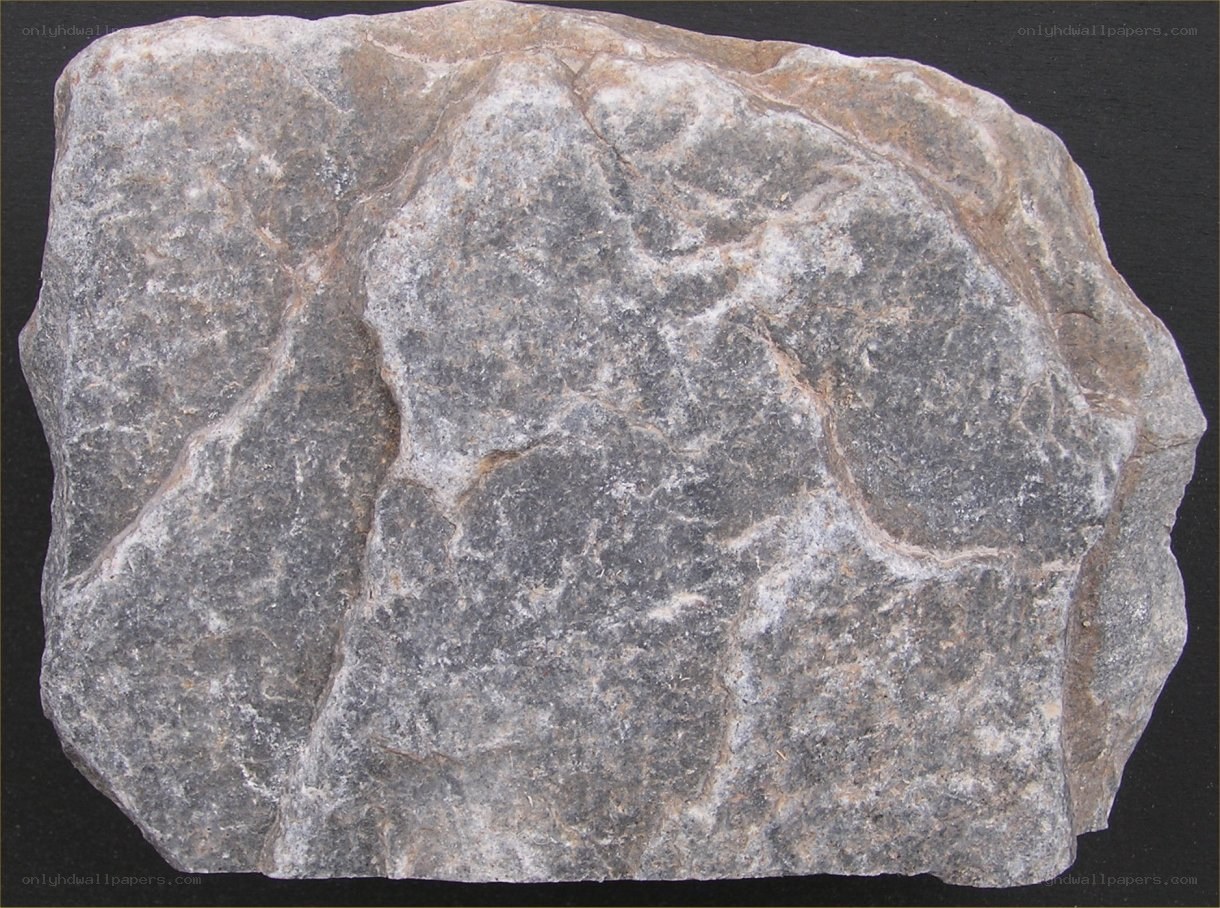 gray rock with white veins