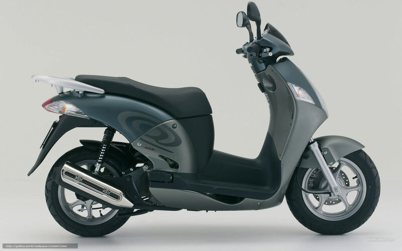 gray scooter side profile