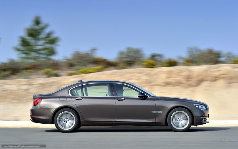 Gray Sedan Car — Dynamic, Afternoon, Photograph, Road, Trees