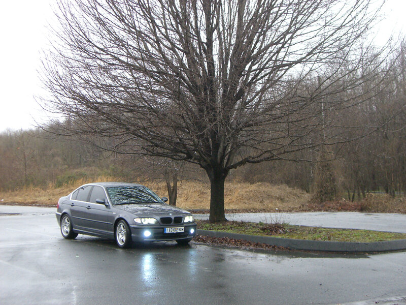 gray sedan parked under tree
