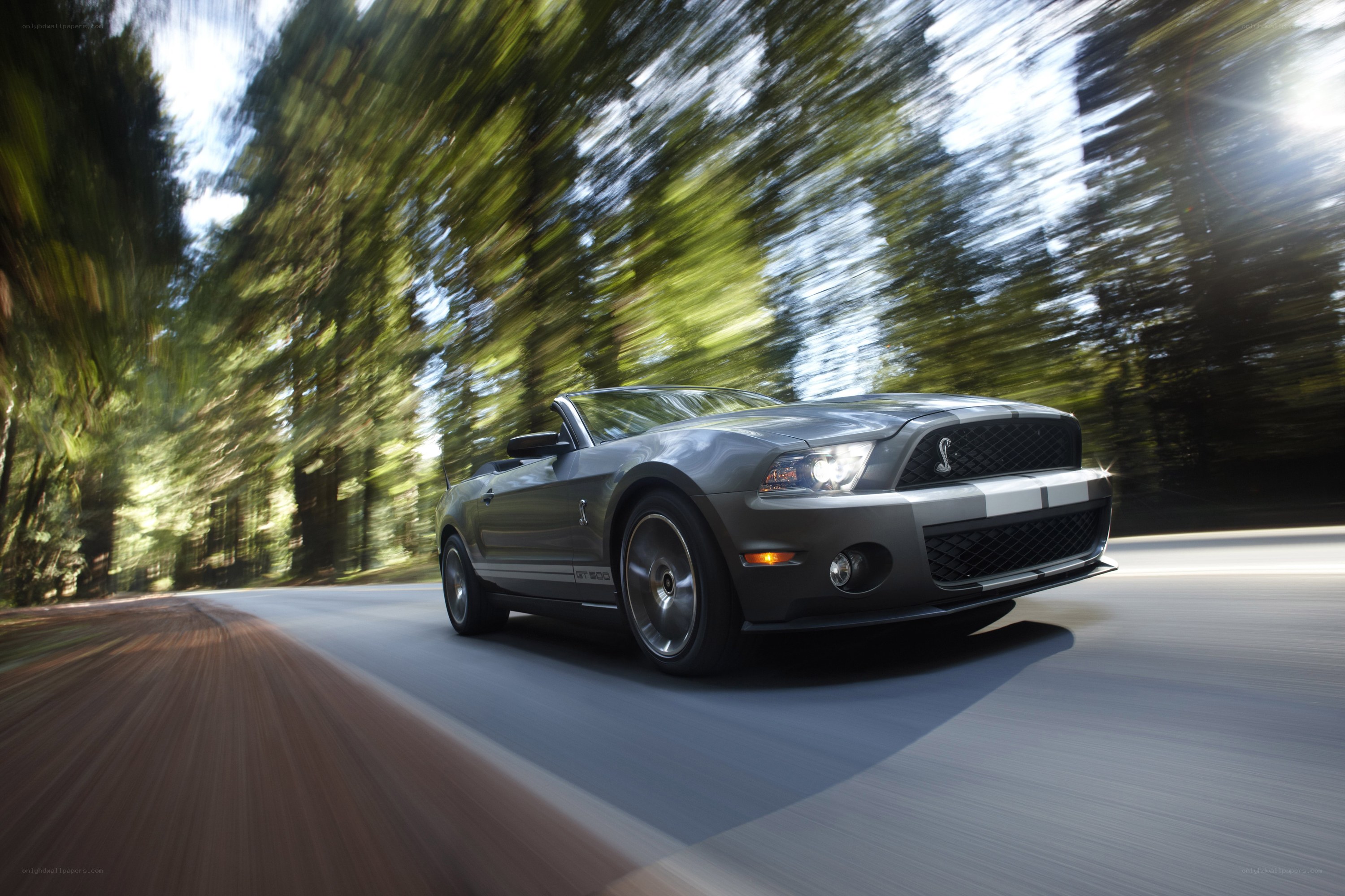 Gray Shelby convertible on forest road
